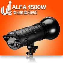 U2 Alfa 1500W photographic lamp shadow room flash Real view studio flash