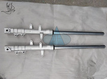 Jinlong Motorcycle Accessories JL150-51C JL125-51C Free Wind Original Front Shock Absorber Front Fork