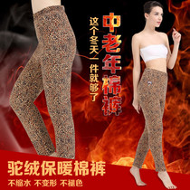 Womens three-layer thick camel wool cotton pants warm pants High-waisted cashmere pants for the elderly plus size granny hair pants