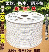  Living room LED light with ceiling household outdoor long strip waterproof drying highlight 220v patch neon soft barbecue