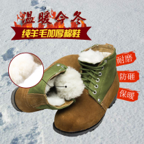 Pure leather wool padded labor protection cotton shoes work shoes wear-resistant non-slip winter cold warm anti-smashing high men and women