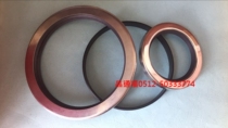 Stainless steel oil seal PTFE oil seal PTFE 30*47*10 30*50*8 30*50*10 30*52*7