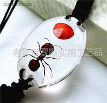 Z6 crystal insect amber bracelet oval red bean ant meaning only you in the heart resin true insect