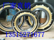 Cylindrical roller bearings RN205EM RN206EM RN207EM RN208EM RN209EM RN305EM