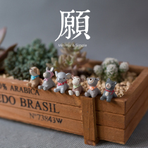 (Wish) 6 mini look up at the starry sky gardening fleshy flower pot resin ornaments cute super cute