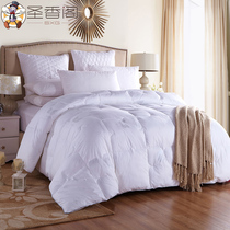 Shengxiang Pavilion winter quilt cotton winter quilt thickened warm quilt core Air conditioning quilt double student spring and autumn quilt clearance