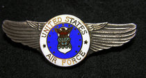 U.S. Air Force World War II Victory Commemorative Wing Badge 25 Federal Air Force Plated Antique Silver True Enamel