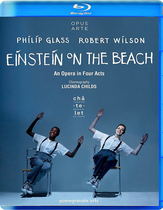 Albert Einstein on the beach of the musical beach Robert Wilson 2 plate 25g
