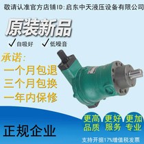  Factory pin 40YCY14-1B 63YCY14-1B 80YCY14-1B 100YCY14-1B axial piston pump