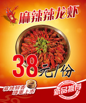 715 home poster board printed sticker material 1024 spicy lobster