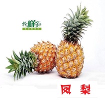 Fresh fruit pineapples imported yellow pear unpeeled approb. 1 5kg single fruit Jiang Zhejiang Shanghai full of five pieces