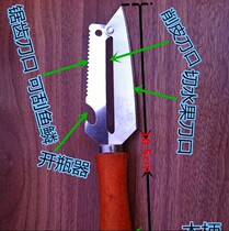 Fruit knife stainless steel melon fruit planing knife peeler fruit vegetable scraping knife wooden handlebar paring knife