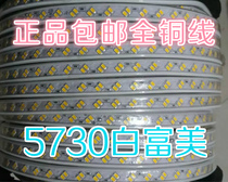 Jingzheng LED light with 5730 White Fumei full copper wire 120 lamp 5050 waterproof 60 beads home commercial background