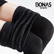 Bonas stockings Autumn and winter padded velvet bottling stockings womens black stepping thin leg socks wear warm leggings socks