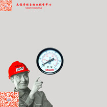 Delixi pneumatic components Pressure gauge Surface 50 Y50-02 Bipolar tooth physical store]
