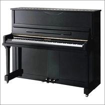 Standard Star piano Hardware new high-end Gerstein brand vertical piano black