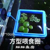 Fat Fat Fish Room Fish Tank Feeders Aquarium Floating fish food Grain Feeding Circle Small Vat Positioning Classification Duckweed Breeding