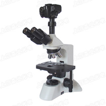 Scientific research grade single-anti-camera biological microscope
