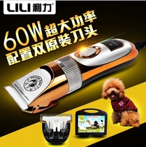 60W High Power Long Hair Rabbit Electric Push Cut Pet Cat Dog Shave Hair Tibetan mastiff Lion Pet Shave Electric Pushers