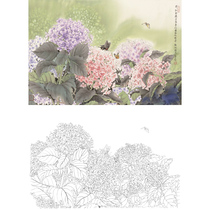  Gongbi painting white sketch background draft physical hook line print draft Zhang Keqi hydrangea bird 66*96 with color map 489T