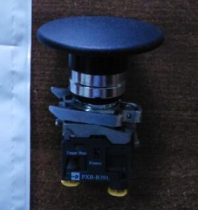 3911 40MM Mushroom Head Switch PARKER