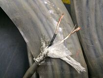 Imported wire Japan original 2 core 0 5 square imported shielded wire Signal wire Power cord control wire