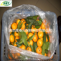 Sugar orange special physical activity modified atmosphere fresh-keeping packaging bag 20kg high pressure transparent bag flat pocket