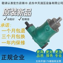Factory direct high quality high efficiency and low noise 63YCY 63y14-1b Qidong automatic variable plunger pump