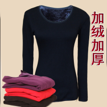 Autumn-winter style single piece round collar blouses U collar bottom lingerie long sleeve low neckline plus suede thickened thermal underwear lady