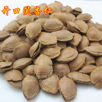 This years new almonds cooked hand-peeled open small apricot core thin shell Youyi nuts 500 grams Weixian specialty 