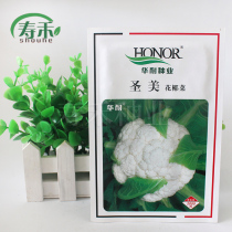 Chile Saint-Mei cauliflower cauliflower seeds seed cauliflower yield Jianet spring autumn Shouguang vegetables