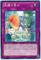 (Hyatt King) N Pinkasenroes Enhui 807th Edition