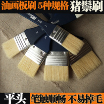 Hair brush Wool brush Pig hair brush Paint brush Cleaning brush Brown hair brush