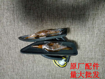 Lichi Electric Car E9 Leaf board side lamp