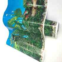 Water grass background painting 0 5*1 meter fish tank background paper aquarium fish tank background picture fish tank sticker wallpaper mural