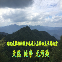 Lean beauty natural farm special difference artifact 1 yuan A street lamp bracket Daily social light source