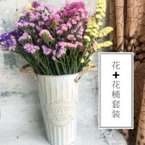 Yunnan forget-me-not dried flower bouquet with vase set Natural dried flowers Home decoration living room decoration eternal flower