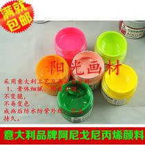 Full 5 bottles of Anigoni 100 ml acrylic pigment without fading hand painted clothes wall paint dye