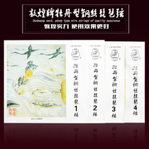 Dunhuang pipa piano string peony type steel wire pipa string 1234 special string set string can be bought