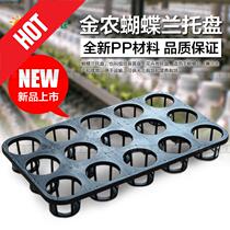 Phalaenopsis special turnover 15-hole multi-meat cultivation orchid nutrition vegetable nursery plate nursery pot plastic tray rack