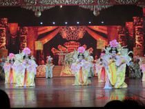 Fangyuns new large palace opening dance back board dance costumes private custom