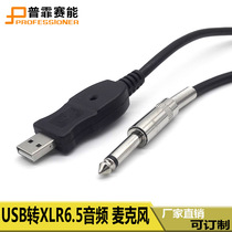 USB to 6 5 computer USB to XLR microphone guitar 6 5 audio cable with chip recording function