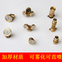 Agricultural electric sprayer All-copper nozzle drug machine Single and double three-hole nozzle large atomization adjustable direct injection