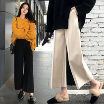 Pregnant women pants autumn and winter wear Net red casual foreign style tide mother fashion plus velvet thick hairy long wide leg pants