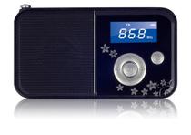 PANDA Panda DS-111 Card Radio TF Card Mini Combo Acoustic Card small speaker