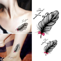 Original personality feather tattoo stickers female clavicle ankle waterproof male simulation tattoo tattoo stickers cover scars