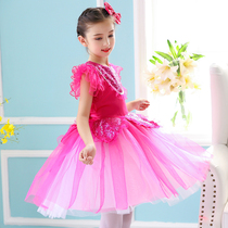 Childrens Day performance clothes female princess skirt puffy gauze skirt primary and secondary school students kindergarten chorus performance costumes