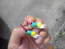 A pair of roasted blue parrot a couple