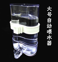 Large automatic water feeder for birds with automatic water feeding cup transparent automatic water Cup parrot water Cup bird water bowl