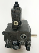 Taiwan Funan FURNAN VHI-F-30-A1-T9 VHI-F-40-A2 variable vane pump VHO-F-25